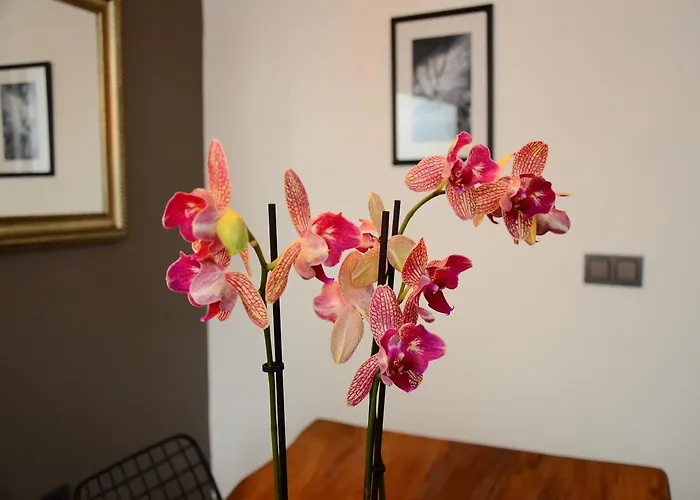 Xenia Taksim 호텔 이스탄불