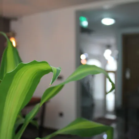 Szálloda Xenia Taksim Isztambul